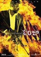  Online DVD Rental