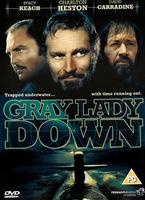  Online DVD Rental