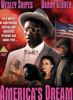  Online DVD Rental