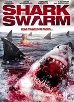  Online DVD Rental