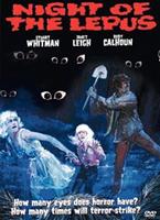  Online DVD Rental