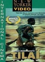  Online DVD Rental
