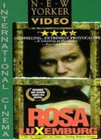  Online DVD Rental