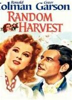  Online DVD Rental