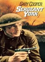  Online DVD Rental