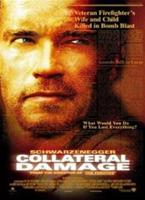  Online DVD Rental