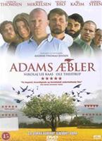  Online DVD Rental