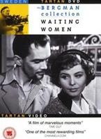  Online DVD Rental