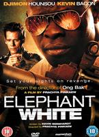  Online DVD Rental
