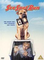  Online DVD Rental