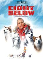  Online DVD Rental