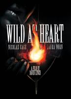  Online DVD Rental