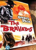  Online DVD Rental