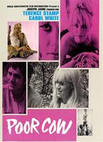  Online DVD Rental