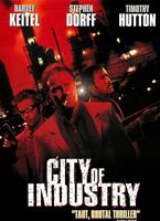  Online DVD Rental
