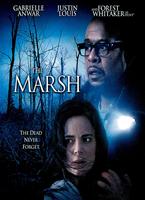  Online DVD Rental