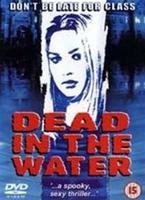  Online DVD Rental