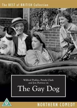 the advocate gay news photo pic shemale