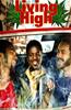 Living High Online DVD Rental