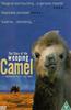 The Story of the Weeping Camel Online DVD Rental
