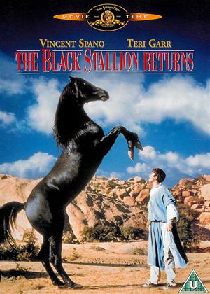 Rent The Black Stallion Returns Online DVD Rental