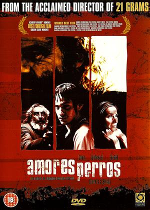 Rent Love's a Bitch (aka Amores Perros) Online DVD Rental