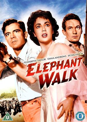 Rent Elephant Walk Online DVD Rental