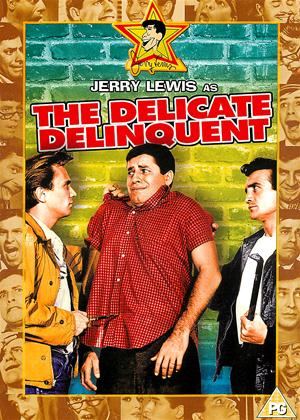Rent The Delicate Delinquent Online DVD Rental