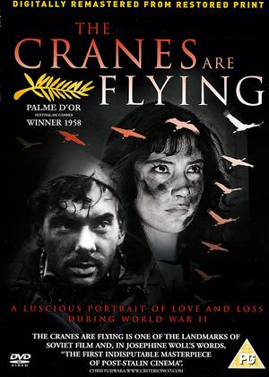 Rent The Cranes Are Flying (aka Letyat Zhuravli) Online DVD Rental