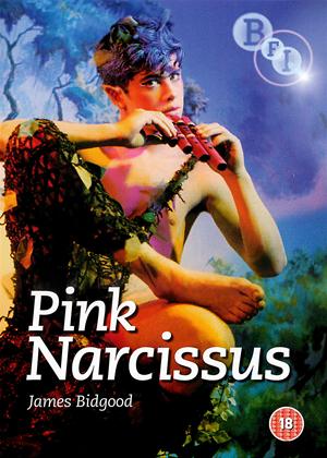 Rent Pink Narcissus Online DVD Rental