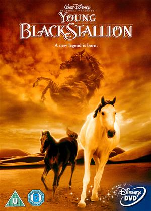Rent Young Black Stallion Online DVD Rental