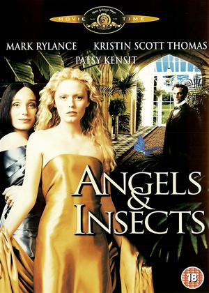Rent Angels and Insects Online DVD Rental