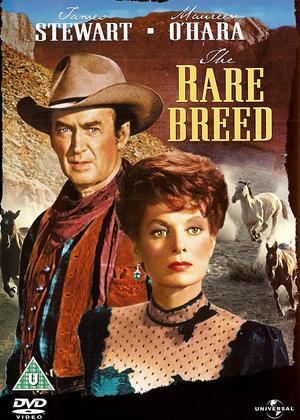 Rent Rare Breed Online DVD Rental