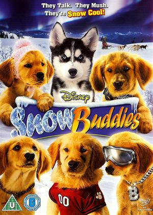 Rent Snow Buddies Online DVD Rental