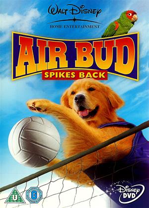 Rent Air Bud: Spikes Back Online DVD Rental