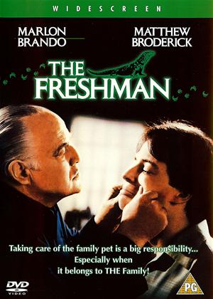 Rent The Freshman Online DVD Rental