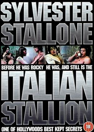 Rent Italian Stallion Online DVD Rental
