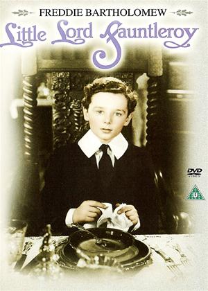 Rent Little Lord Fauntleroy Online DVD Rental