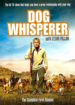 Rent Dog Whisperer: Series 1 Online DVD Rental