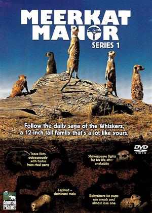 Rent Meerkat Manor: Series 1 Online DVD Rental