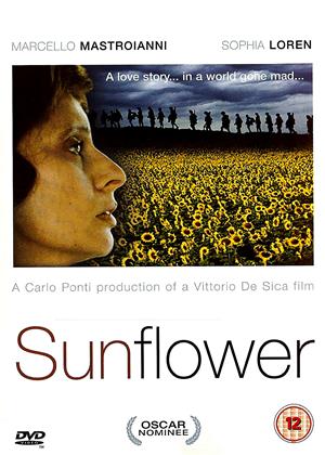 Rent Sunflower (aka I girasoli) Online DVD Rental