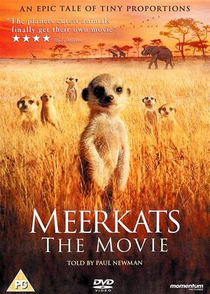 Rent Meerkats: The Movie Online DVD Rental