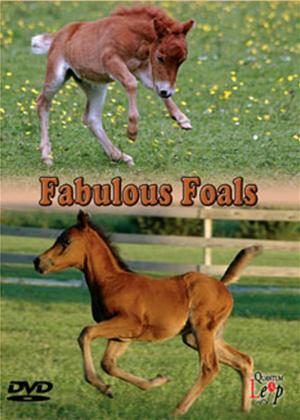 Rent Fabulous Foals Online DVD & Blu-ray Rental