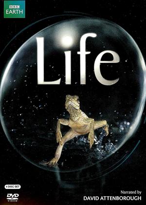 Rent Life Online DVD Rental