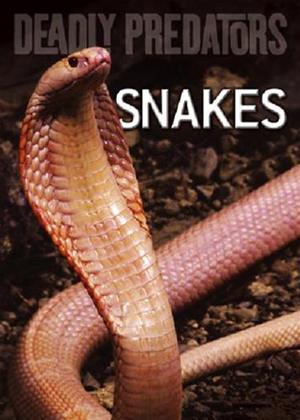 Cobra anime 2019 Cobra anime 2019