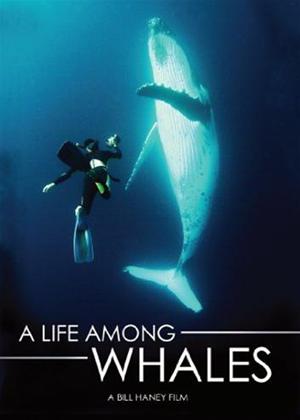Rent A Life Among Whales Online DVD Rental