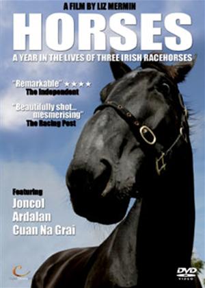 Rent Horses: A Year in the Lives of Three Irish Racehorses Online DVD Rental