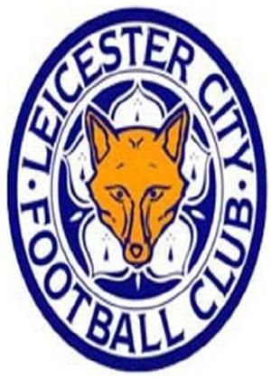 Rent Leicester City in the 70's Online DVD Rental
