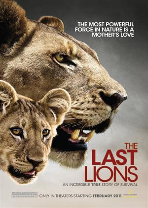 Rent The Last Lions Online DVD Rental