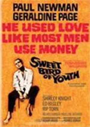 Rent Sweet Bird of Youth Online DVD Rental